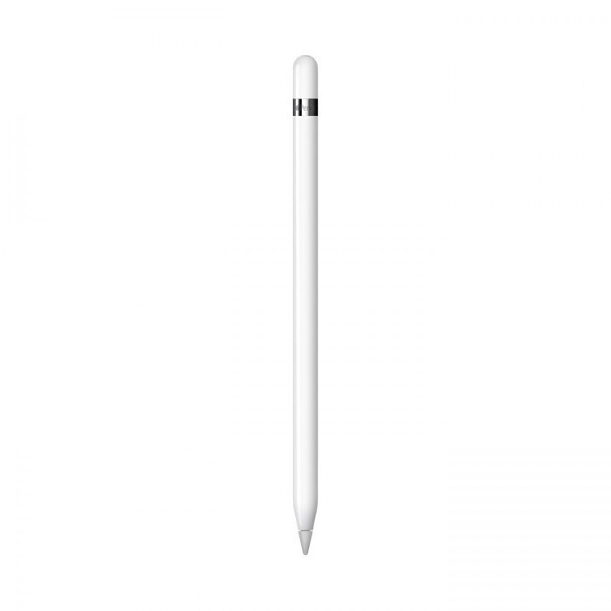 APPLE PENCIL WHITE 1ST GENERATION & USB - C ADAPTER MYQW3