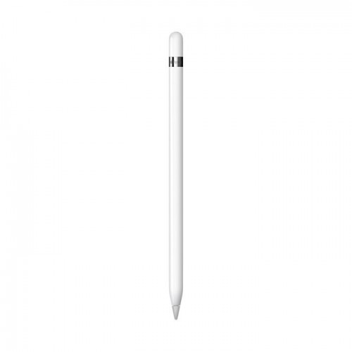 APPLE PENCIL WHITE 1ST GENERATION & USB - C ADAPTER MYQW3