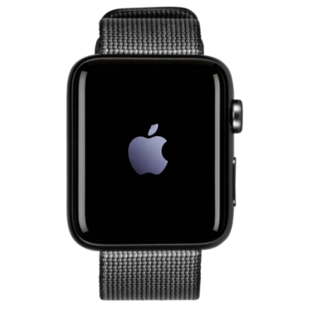gray iwatch