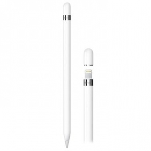 APPLE PENCIL WHITE 1ST GENERATION + USB - C ADAPTER MQLY3 (2022)